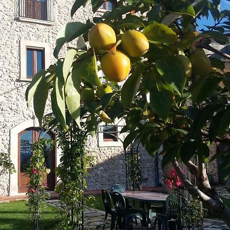 Alloggi Agrituristici Antica Dimora Villa San Demetrio ne' Vestini Eksteriør billede